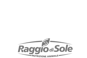 Raggio di sole